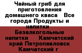 Чайный гриб для приготовления домашнего кваса - Все города Продукты и напитки » Безалкогольные напитки   . Камчатский край,Петропавловск-Камчатский г.